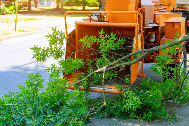 Best Emergency Tree Removal  in Walker Mill, MD